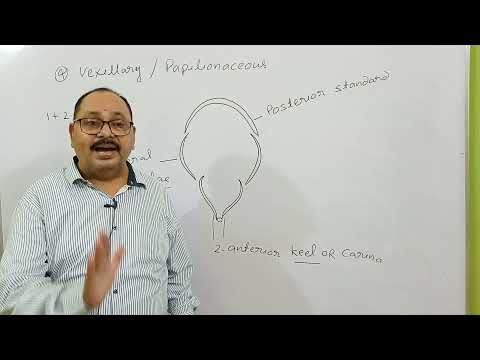 #Neet#Biology Plant Morphology - Flower L-1 By Dr. Sumant Singh Sir