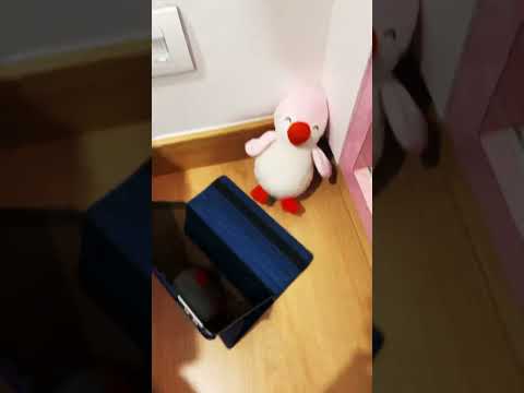 Chipi chipi chapa chapa penguin edit