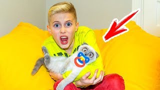 У нас появился МАЛЫШ...А что не ТАК???In short ... Something with my cat is NOT THAT !!!