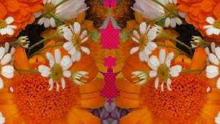 The Night&#39;s Too Long (by Lucinda Williams live at  Slim&#39;s on 1-28-89).