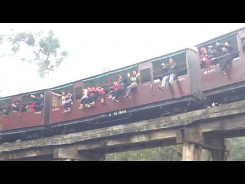 Puffing Billy Melbourne