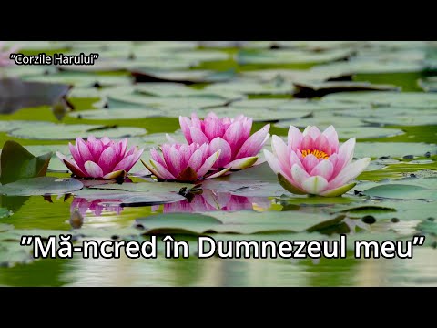 ”Mă-ncred în Dumnezeul meu!” cântare creștină nouă 2026