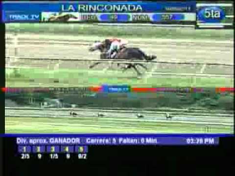 Clasico Dia del Ejercito 2011