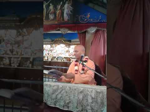 Srimad Bhagavatam 11.05.41 (Hindi) - HH Bhakti Rasamrita Swami