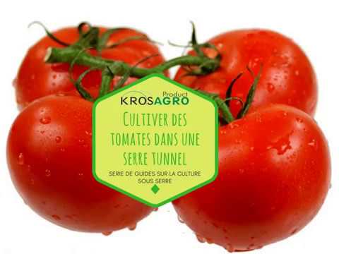 , title : 'Cultiver des tomates dans une serre tunnel'