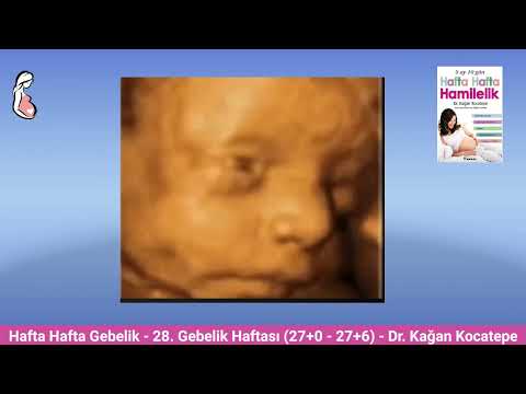 Gebelikte 28. hafta (27+0 27+6) belirtileri.  Anne adayı ve bebekte değişiklikler, yatış pozisyonu