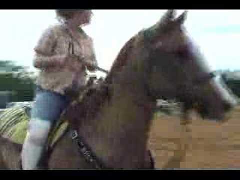 Hollywood Barrels 6 1 08