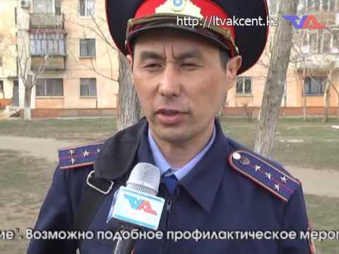 Выпуск программы «День» от 25 апреля 2017г.