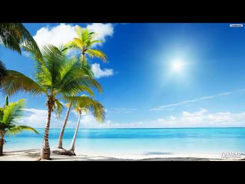 Visual Contact vs Electro Sun - Visual Sunny Day (part 2)