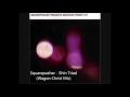Squarepusher - Shin Triad (Wagon Christ Mix)