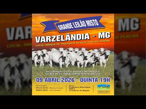 Leilão de Gado - Grande Leilão Misto Varzelândia MG