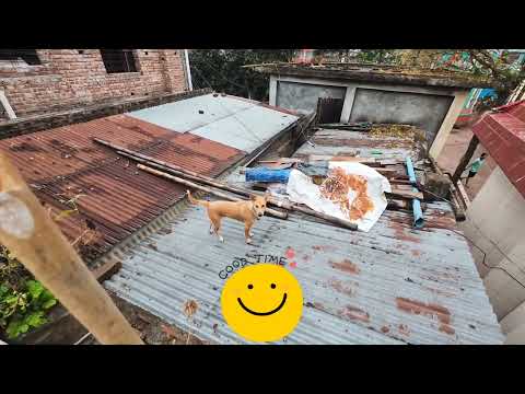 @raiderssourov bristy din💦🐕