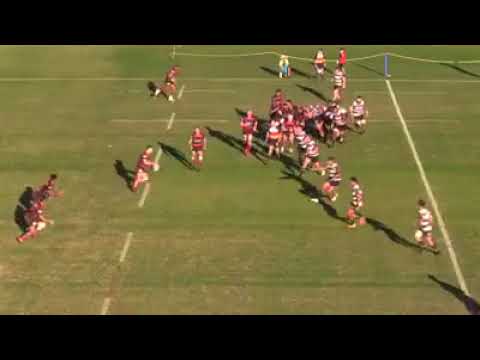 Intrust Super Shute Shield Highlights 2018 | Norths Rugby vs West Harbour | Round 5