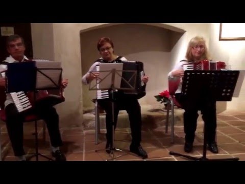 Asociación acordeones de Málaga