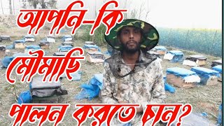 আপনি কি কিনতে চাচ্ছেন?  মৌমাছি নিয়ে খোলামেলা আলোচনা।