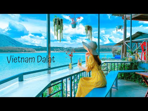 [Vietnam Travel Vlog] Dẫn Ba Mẹ đi Đà Lạt lần đầu - Thác Datanla , Thiền viện Trúc Lâm, hồ Tuyền Lâm