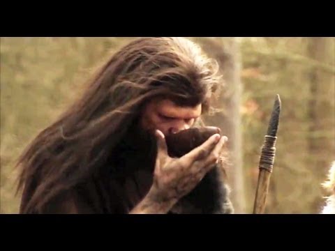 Armstrong & Miller | The Origins of Alcohol