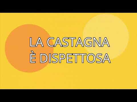 La castagna dispettosa