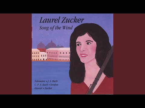 Johannes DonJon -Song of the Wind