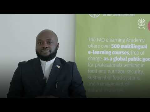 Empowering Young Forestry Leaders through the FAO elearning Academy