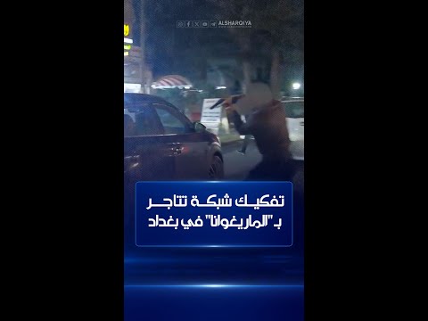 شاهد بالفيديو.. الأمن الوطني يفكك شبكة تتاجر بمادة "الماريغوانا" المخدرة في بغداد