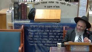 פרשת לך לך תשפ"ו בית הכנסת היזים (בית הכנסת מוסאיוף) - התמונה מוצגת ישירות מתוך אתר האינטרנט יוטיוב. זכויות היוצרים בתמונה שייכות ליוצרה. קישור קרדיט למקור התוכן נמצא בתוך דף הסרטון