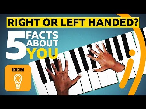 你是右撇子還是左撇子？五個關於慣用手的小秘密！ (Right or left-handed? 5 facts about you | BBC Ideas)