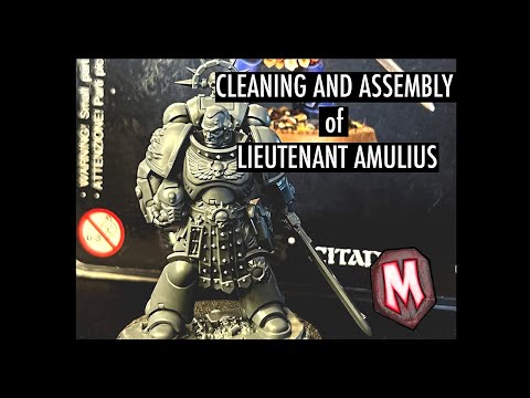 Assembling Lieutenant Amulius!