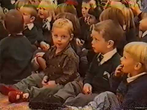 Dosbarth Meithrin Ysgol Gynradd Gymraeg Ynyswen 1995 -1996