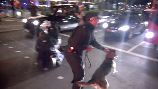 police dog attack, million mask march, london 05/11/14