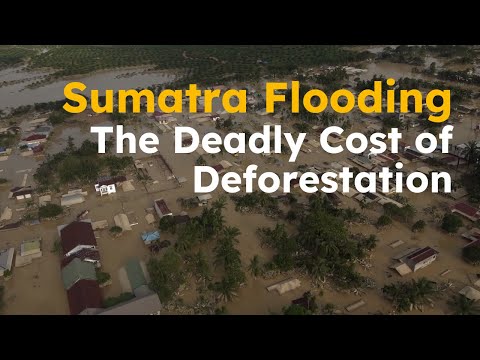 Sumatra Flood Emergency: Reforestation Project