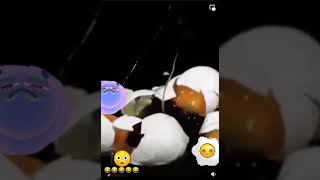 Funny Videos 2021 ● #shorts