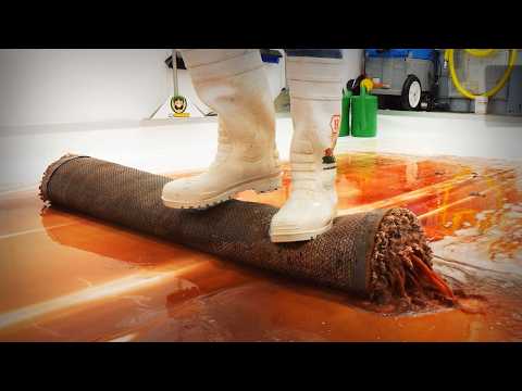 HORRIFYING Mould Covered This White Rug… I Think It Was a Biohazard. Satisfying ASMR Carpet Cleaning