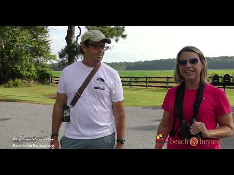 "Beach & Beyond" - Episode # 139 - 2020