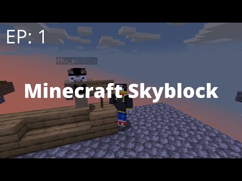 Minecraft Skyblock EP: 1 (DANSK)