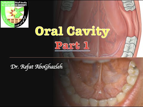 Oral Cavity - Part 1