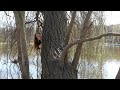 The Rockoons - křest alba!
