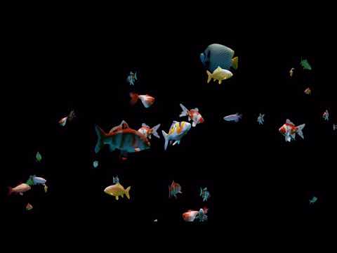 Hologram Fish by Dijor Hightech