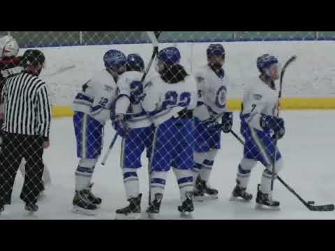 Lawrence Tech Hockey D1 vs Concordia | Highlights 2/4/22