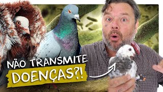 Miniatura do vídeo