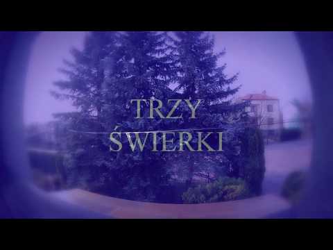 3 świerki