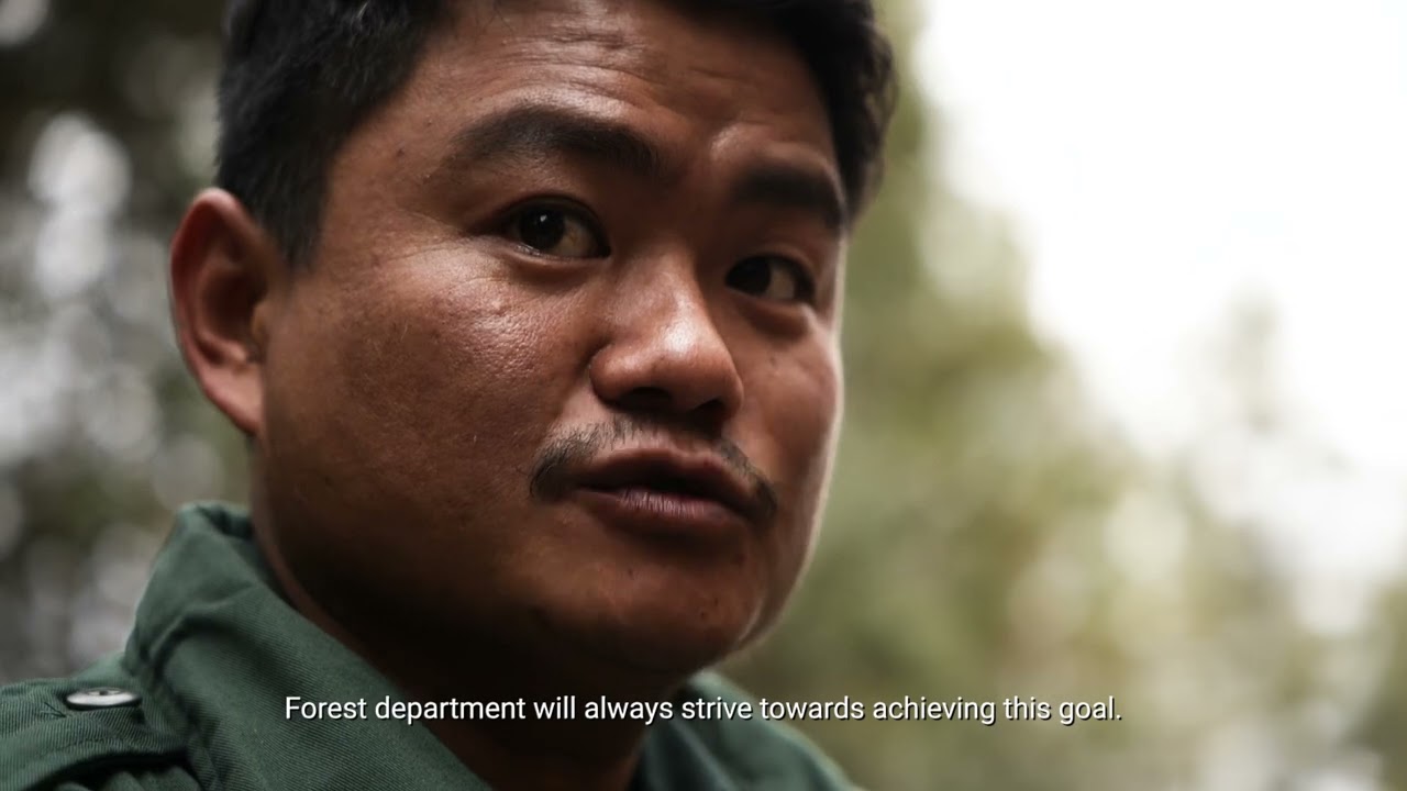 Tigers of the Dragon Kingdom