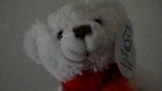 GAYLORD THE BEAR RULES!