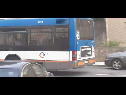 stcp Linha 805 Veículos 3152, 3203,