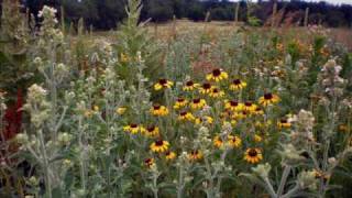 Jody Stecher & Kate Brislin - Away Out On the Old Saint Sabbath