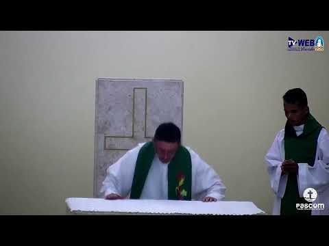 missa do 15º Domingo do Tempo Comum