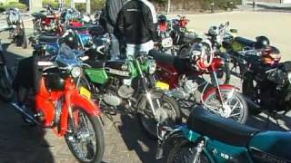 Brommenmaar, Elshout