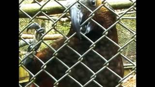 The Cakekitchen - I Think I Had Too Much To Drink Last Night?