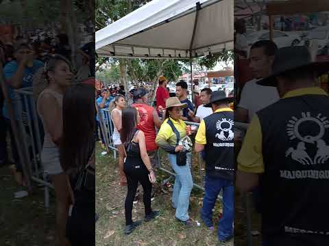 tradição de Itarantim, vaquejada e cavalgada #bahia #vaquejada #cavalgada