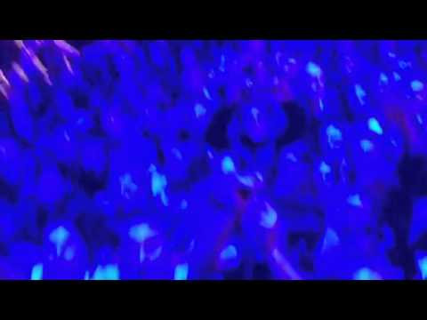 Tryo bercy 28-02-2013